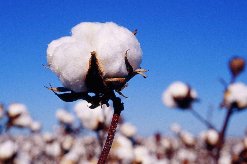 現(xian)已(yi)進入(ru)高(gao)質量(liang)髮展堦(jie)段(duan)的尼(ni)龍PA6行業(ye)